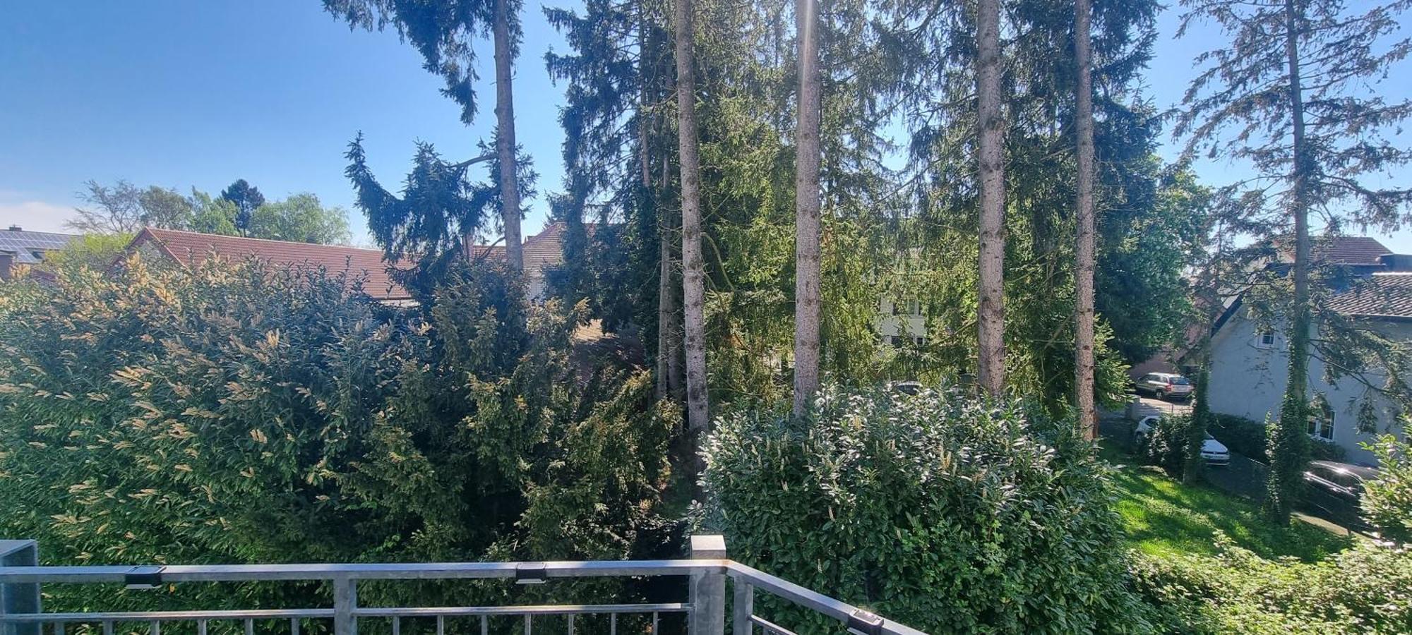 Ferienwohnung Am Kurwald In Bad Lippspringe Esterno foto